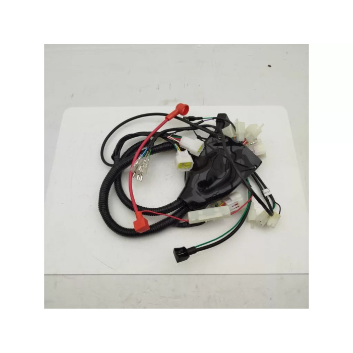 Електропроводка головна NB300
