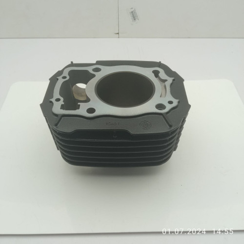 Циліндр двигуна FE250