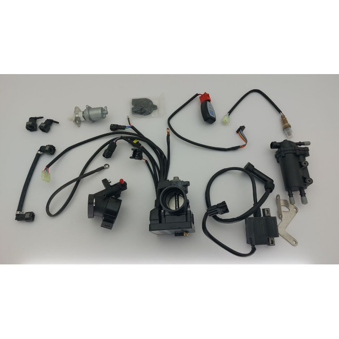 Інжектор Rojo (SET) Bluetooth-Dakar 250-4V (Tossa, Issen, GNX)