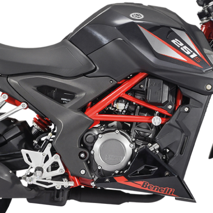 Мотоцикл Benelli 251S EFI (АВS)