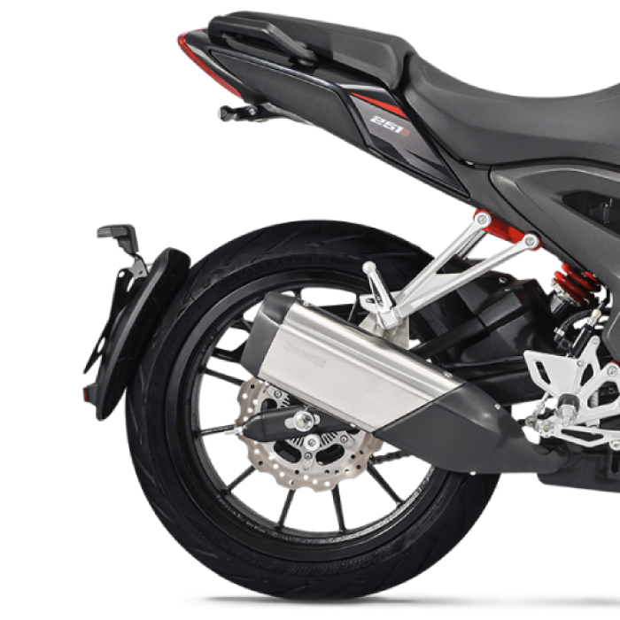 Мотоцикл Benelli 251S EFI (АВS)