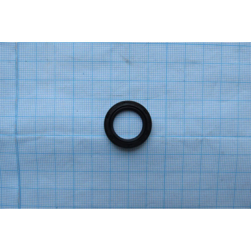 сальник  17x25x3 Problek Tee - Dakar Gnx 250
