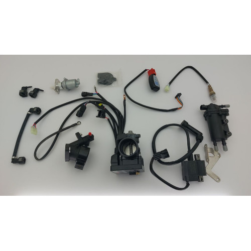 Інжектор Rojo (SET) Bluetooth-Dakar 250-4V (Tossa, Issen, GNX)