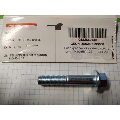 Болт нижній, кріплення керма M10*55*1,25 - GNS300