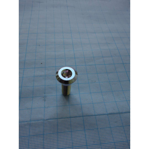 Болт M8x25
